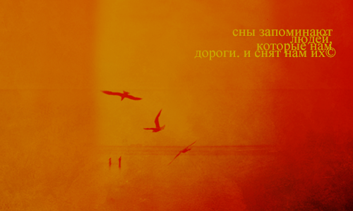 022 (500x300, 145Kb)