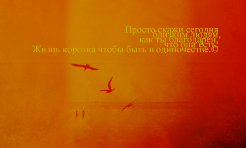 028 (500x300, 147Kb)