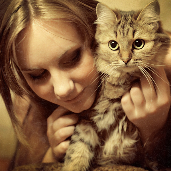 Little_Cat_by_StacyD (600x600, 221Kb)