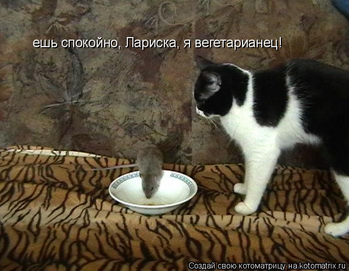 67621203_1291840638_760582 (696x540, 66Kb)