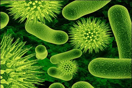 411324_image_large (450x300, 185Kb)