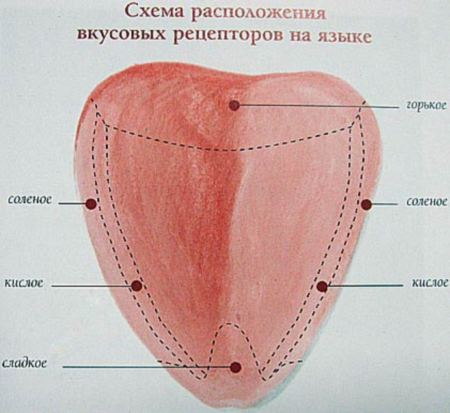 tongue (450x413, 28Kb)