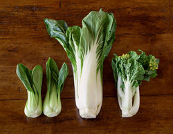 bokchoy = (250x194, 14Kb)