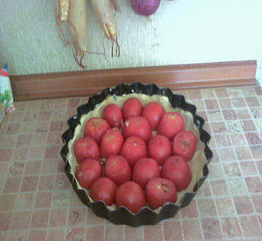 pomidorka _10 (380x350, 64Kb)