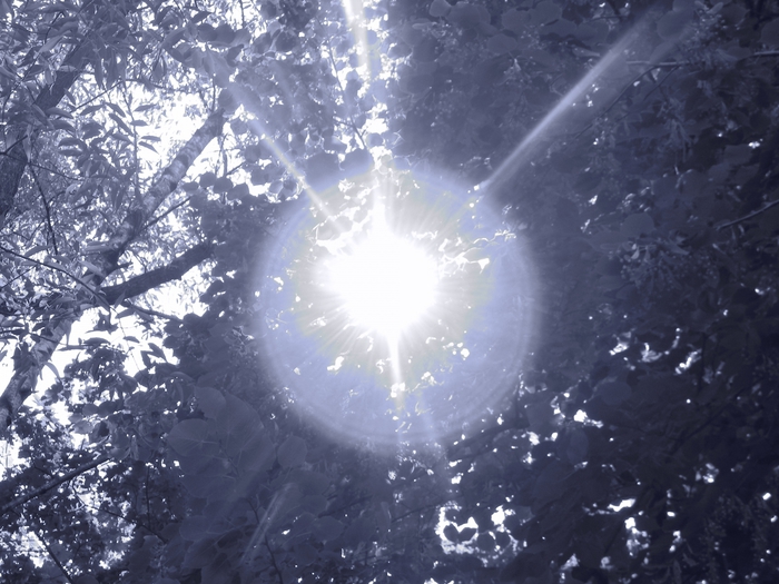 3014304_DSCN1608 (700x525, 280Kb)