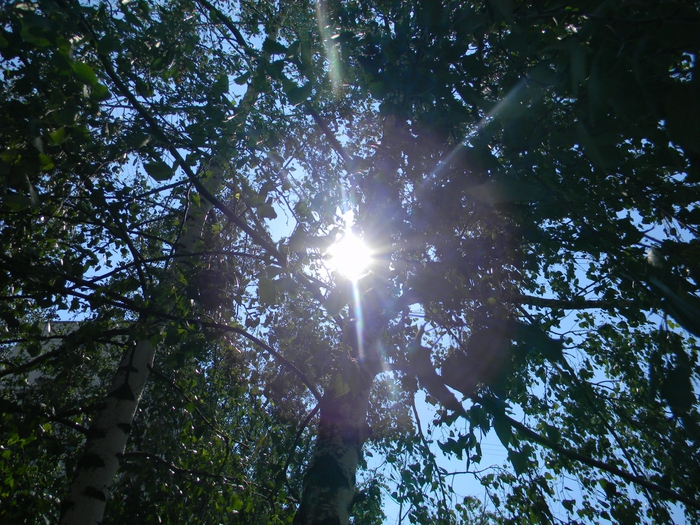 3014304_DSCN1614 (700x525, 381Kb)