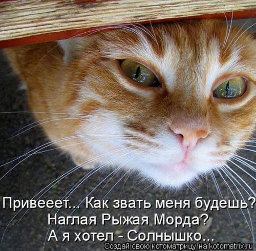  (500x490, 69Kb)