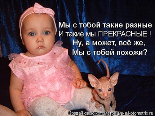 0_3e37e_3cd6b093_L (500x375, 62Kb)