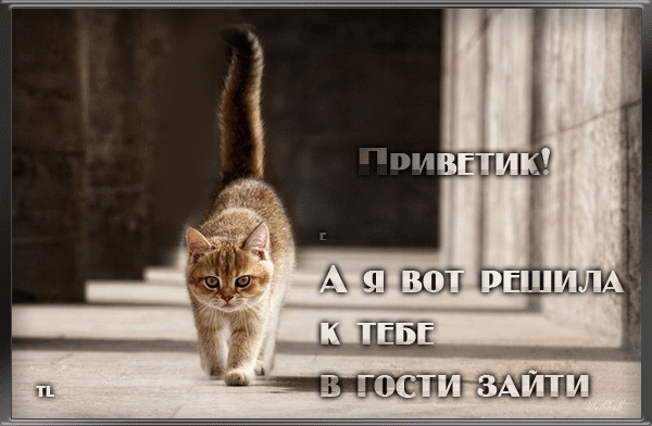 75747646_75699068_65269964_331 (600x392, 179Kb)