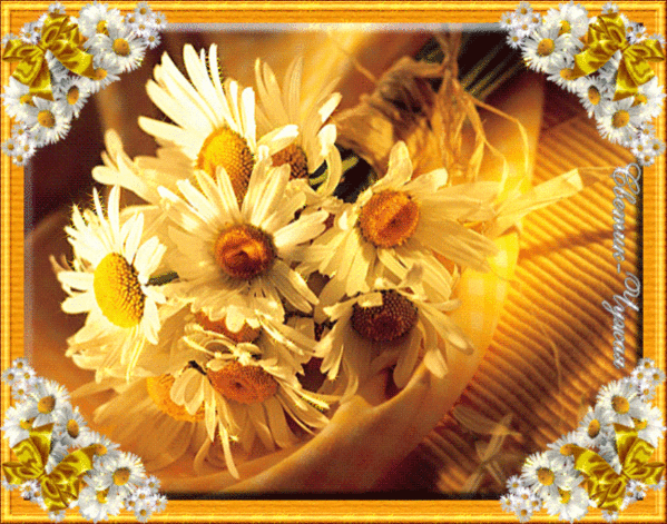 http://img0.liveinternet.ru/images/attach/c/3/75/87/75087084_72187156_717356838d1c.jpg