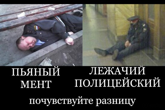 78_54936f194769cb2b590d8082dd3d6b00 (550x367, 43Kb)