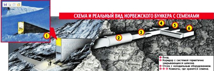 3755121_sklad_semyan (700x232, 156Kb)