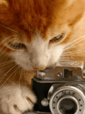 http://img0.liveinternet.ru/images/attach/c/3/75/912/75912760_9d9c58a9.gif