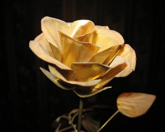1287679655_rose-59 (700x560,  40Kb)