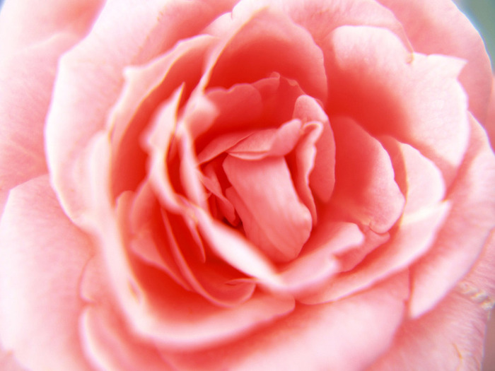 as (4679) (700x525,  91Kb)
