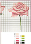  Roses 05 (503x700, 145Kb)