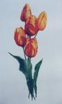  SL 123 Rembrandt Tulips (308x515, 13Kb)