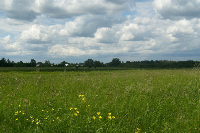 S6300897 (700x466, 130Kb)