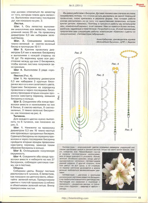Гиппеаструм из бисера схема