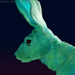 3871644_x_8f3a136f (110x110, 20Kb)
