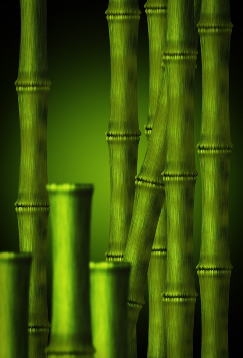 3134042_bambu21 (474x700, 186Kb)