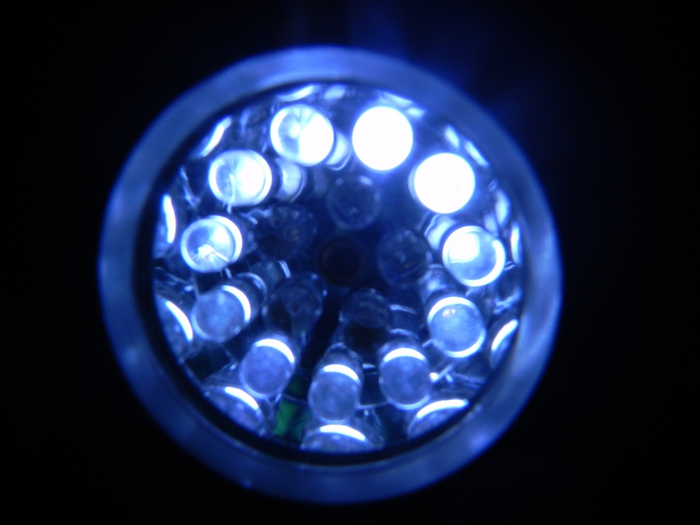 3014304_DSCN1630 (700x525, 184Kb)