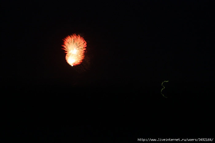 IMG_7533 (700x467, 87Kb)