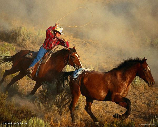 getImage (600x480, 71Kb)