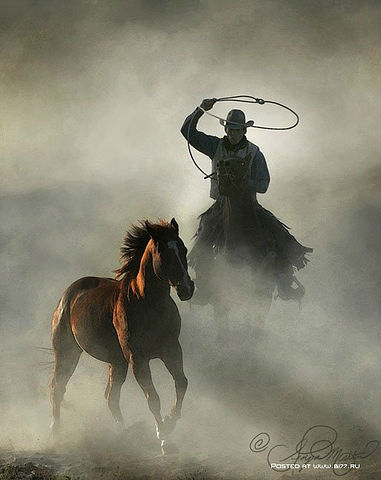 getImage (381x480, 28Kb)