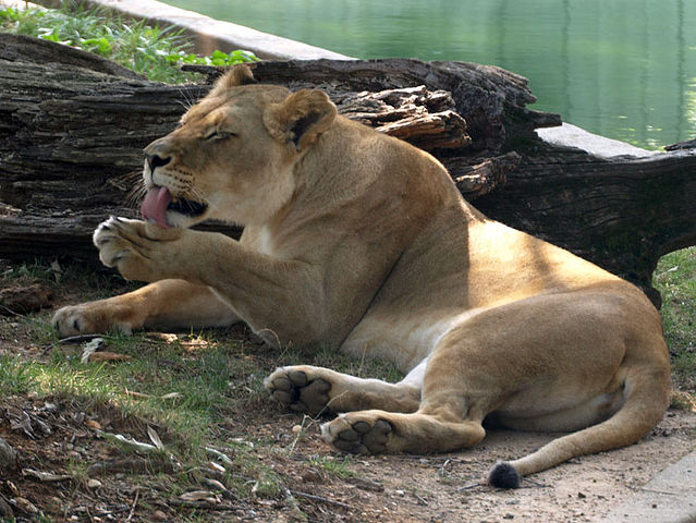 getImage (639x480, 87Kb)