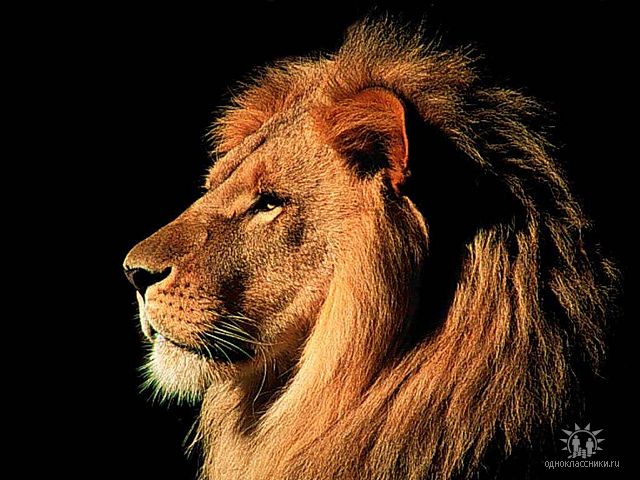 getImage (640x480, 73Kb)