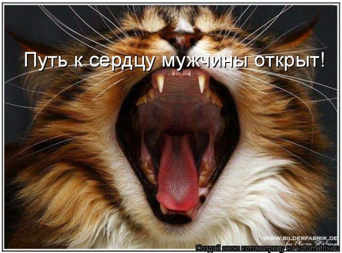 1267214777_kotomatrix_44 (700x518, 83Kb)
