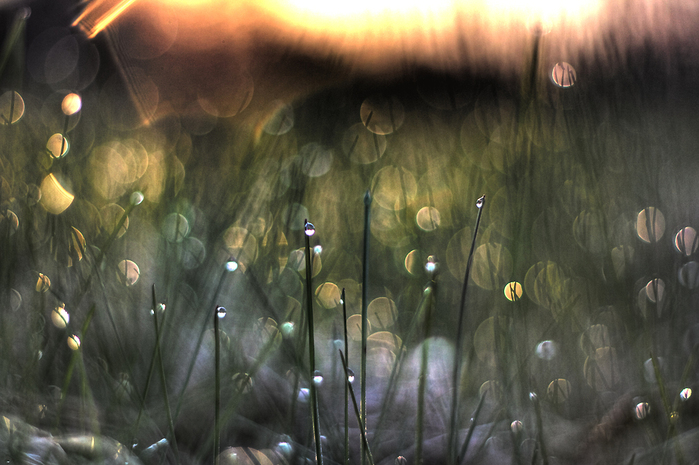 11130 (700x465, 274Kb)