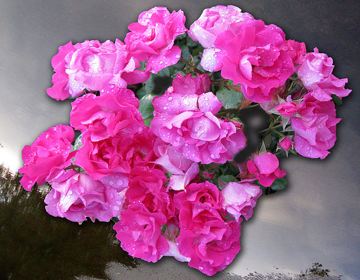 1 (700x545, 247Kb)