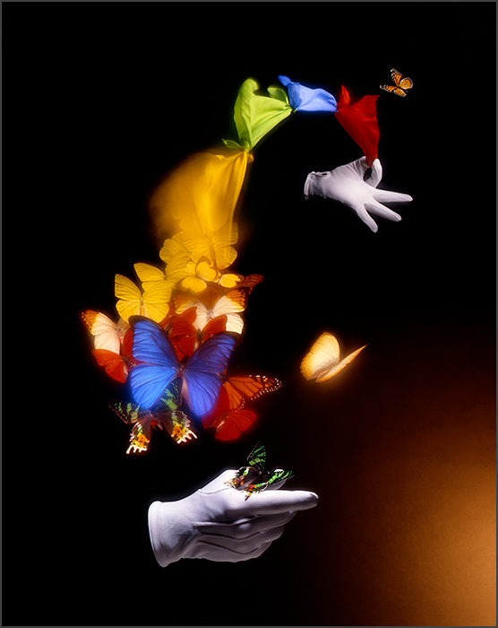 King Douglas-3 (556x700, 164Kb)