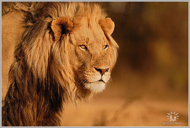 getImage (640x432, 81Kb)