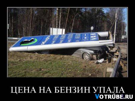1308756485_1306846007_033 (450x337, 29Kb)