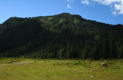 4416559_viezd (400x263, 21Kb)