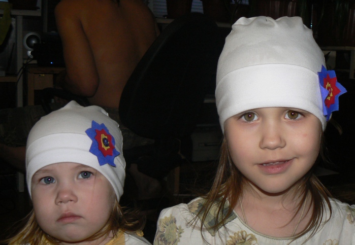 4446647_P1070321 (700x483, 118Kb)
