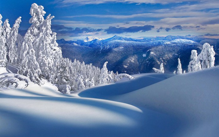 Image00112 (700x437, 84Kb)