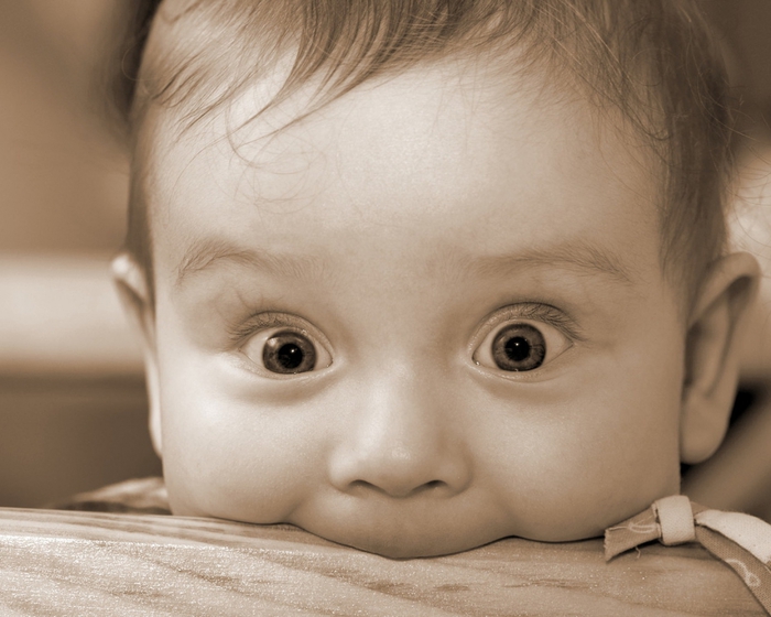 3649429_u9644_6883_1014101280x1024 (700x560, 230Kb)