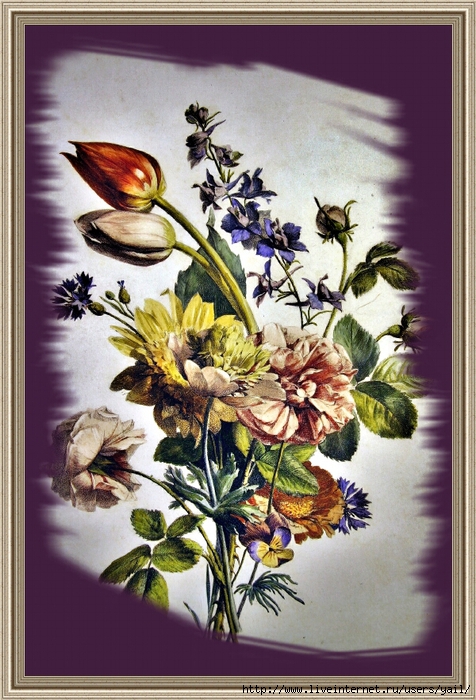 006-Study of a bunch of flowers (476x700, 312Kb)