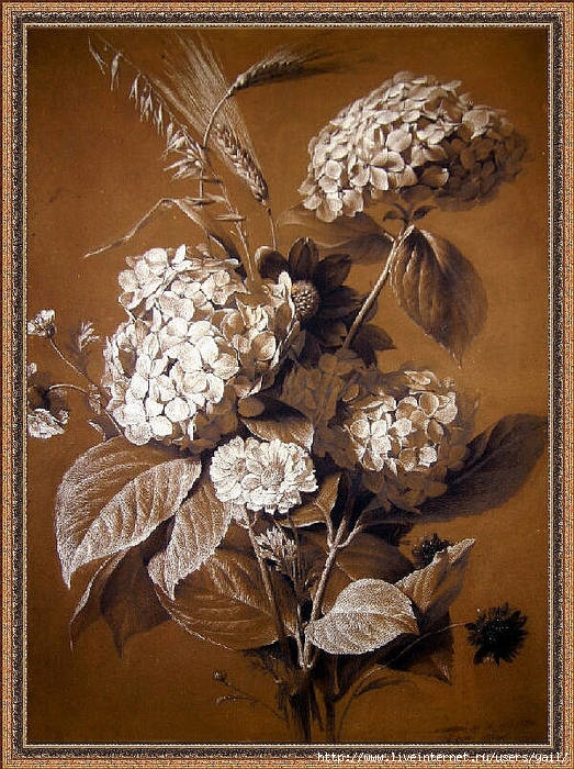 008-Hortensias (523x700, 336Kb)