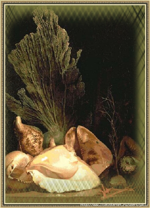 20-Coquillages et Madreposes (504x700, 289Kb)