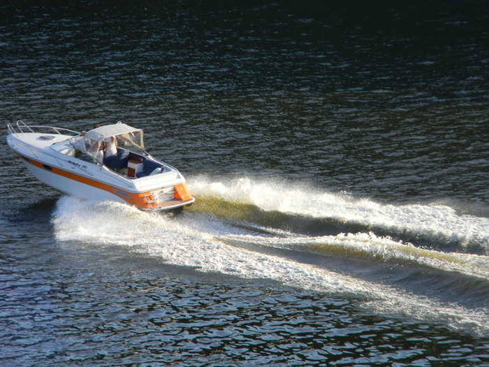 3014304_DSCN1671 (700x525, 329Kb)