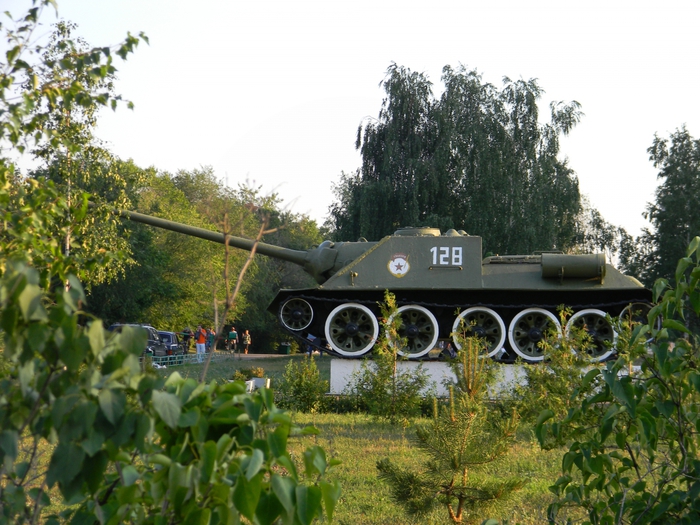 3014304_DSCN1685 (700x525, 307Kb)