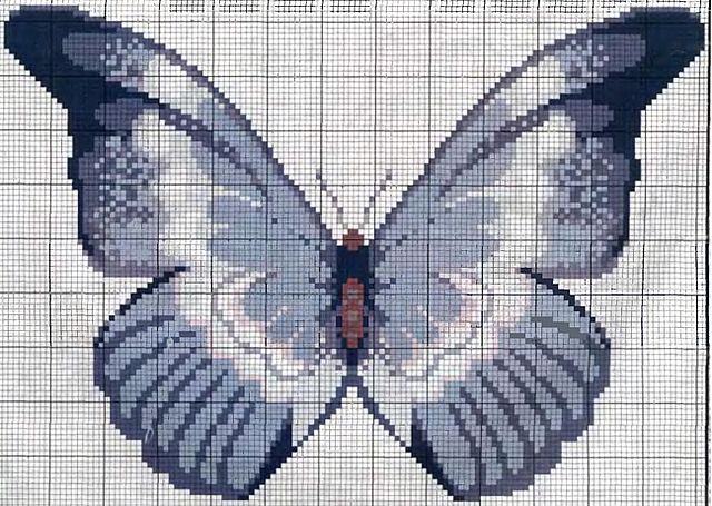 getImage (640x455, 90Kb)