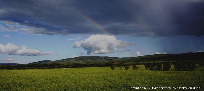 IMG_8807 (700x313, 136Kb)