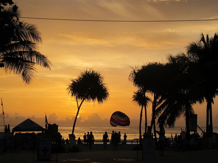 IMG_3555 (700x525, 89Kb)