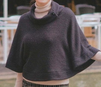2467060_0100_cr (350x304, 36Kb)